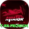 69t BR Premium